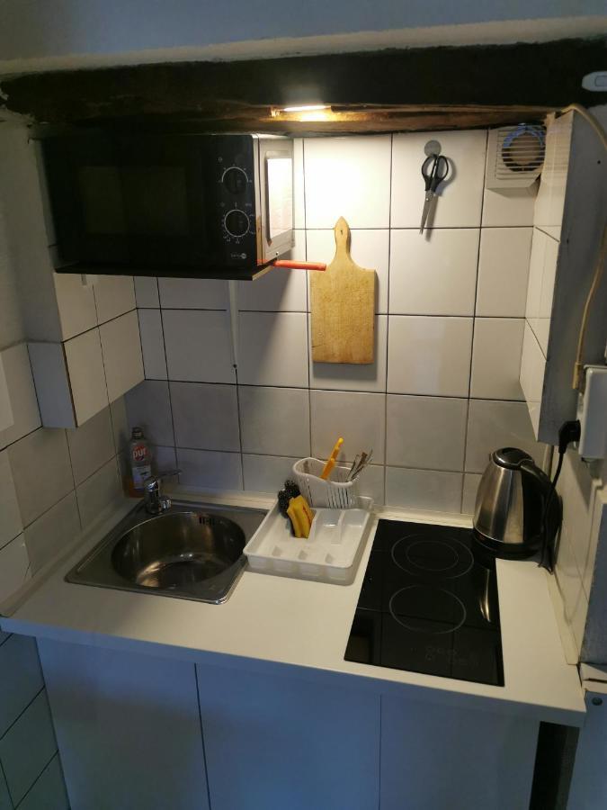 Studio I Apartman Ema Rijeka Bagian luar foto